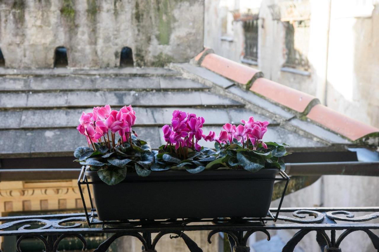B&B Piccoli Leoni Genua Exteriör bild