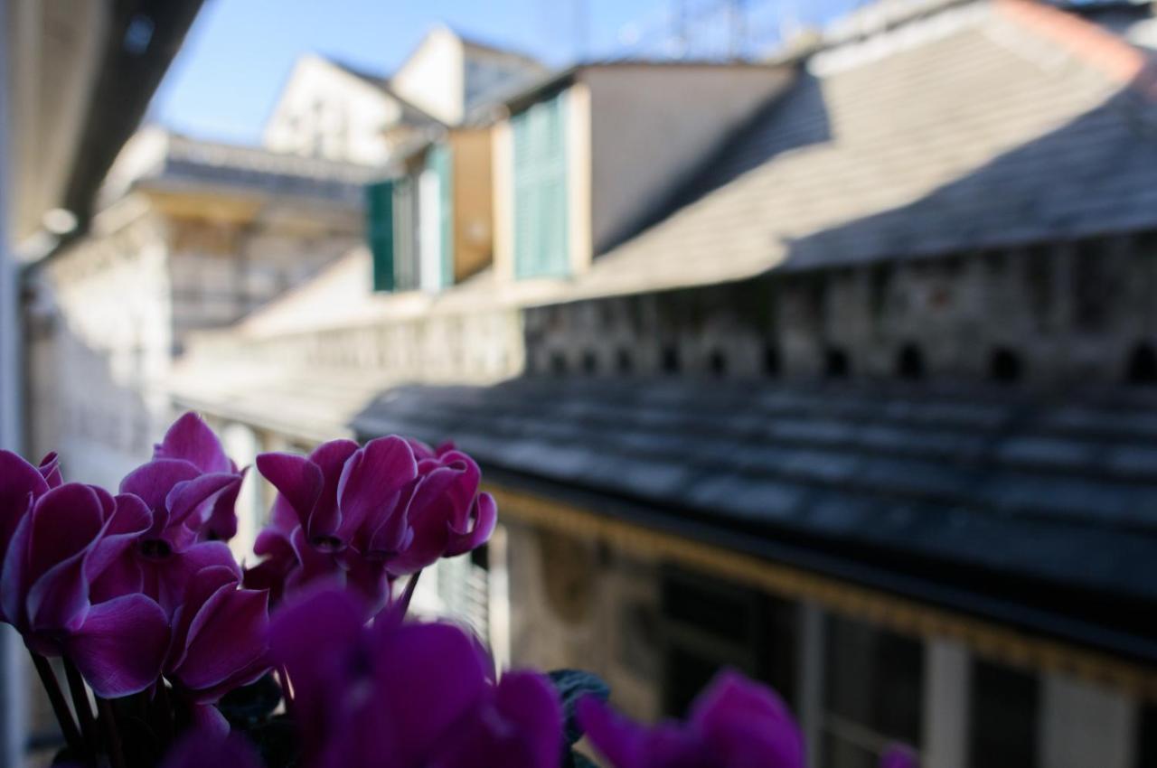 B&B Piccoli Leoni Genua Exteriör bild